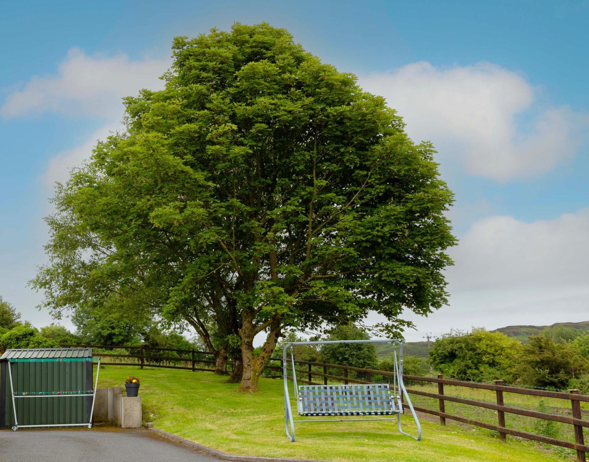 Mountain Nest At The Foot Of Slieve Gullion Apartment Cloghoge Exterior foto