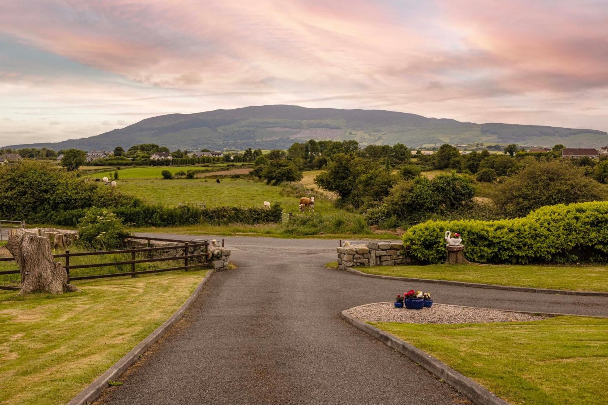 Mountain Nest At The Foot Of Slieve Gullion Apartment Cloghoge Exterior foto